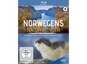 4052912872936 - Zoltán Török - GEBRAUCHT Norwegens Naturwunder Die kleinen Giganten des Nordens   Magie der Fjorde [Blu-ray] - Preis vom 12112023 060208 h