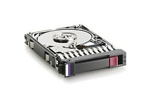 4053162559004 - Inc Interne Festplatte 618518-001 300 GB