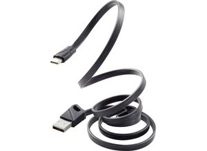 4053199545674 - USB-Kabel usb 20 usb-a Stecker usb-c® Stecker 100 m Schwarz RF-3376014 - Renkforce