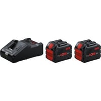 4053423249613 - Starter-Set 18V 2x ProCORE 18V 120Ah + GAL 18V-160 Professional