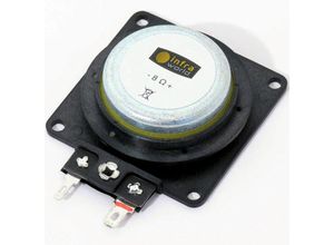 4053682649674 - Infraworld Audio Lautsprecher Slim für Sauna und Infrarotkabine Saunazubehör W4454