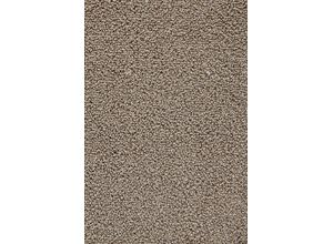 4054564914316 - ANDIAMO Teppichboden Rubino Teppiche Breite 400 cm oder 500 cm strapazierfähig & robust Gr B L 500 cm x 1400 cm 08 mm 1 St braun (braunbeige) Teppichboden