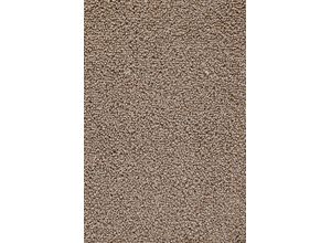 4054564914866 - ANDIAMO Teppichboden Rubino Teppiche Breite 400 cm oder 500 cm strapazierfähig & robust Gr B L 400 cm x 100 cm 08 mm 1 St braun (braunbeige) Teppichboden