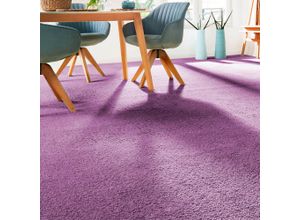 4054564976208 - ANDIAMO Teppichboden Coupon Frisee-Velours Sophie Teppiche Uni Farben Breite 400 cm oder 500 cm strapazierfähig & pflegeleicht Gr B L 500 cm x 1000 cm 12 mm 1 St lila Teppichboden 4054564976208 - ANDIAMO Teppichboden Coupon Frisee-Velours Sophie Teppiche Uni Farben Breite 400 cm oder 500 cm strapazierfähig & pflegeleicht Gr B L 500 cm x 1000 cm 12 mm 1 St lila Teppichboden