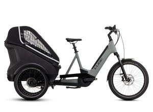 4054571410054 - Trike Hybrid Family 750 - 26 20 Zoll 750Wh Enviolo Trike - swampgrey´n´reflex