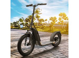 4054748019646 - Elektro Scooter mit Straßenzulassung E-Scooter Aluminium Elektroroller eKFV Zulassung Faltbar Roller EScooter - schwarz