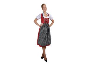 4054869027179 - Midi Dirndl 3-teilig Streublümchen