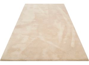 4054898149279 - Teppich WECON HOME BASICS Vanessa Teppiche Gr B L 80 cm x 150 cm 20 mm 1 St beige Esszimmerteppiche besonders weich durch Mikrofaser Wohnzimmer