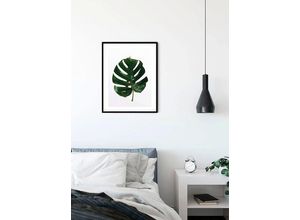 4055065151439 - KOMAR Poster Monstera Leaf Bilder Kinderzimmer Schlafzimmer Wohnzimmer Gr B H 30 cm x 40 cm Pflanzen-Blätter 1 St grün Poster