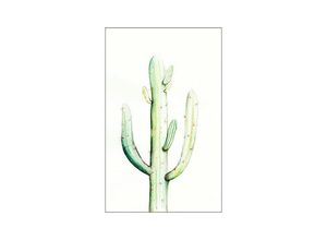 4055065151835 - KOMAR Poster Saguaro Watercolor Bilder Kinderzimmer Schlafzimmer Wohnzimmer Gr B H 50 cm x 70 cm Pflanzen-Blätter 1 St bunt Poster