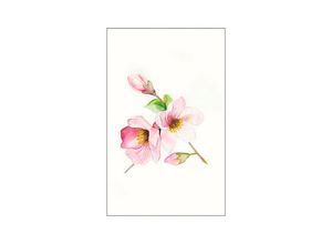 4055065151897 - KOMAR Poster Magnolia Breathe Bilder Kinderzimmer Schlafzimmer Wohnzimmer Gr B H 50 cm x 70 cm Blumen 1 St rosa Poster