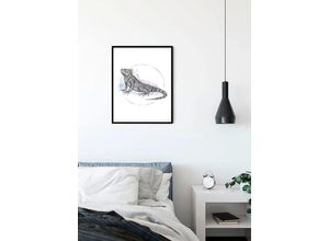 4055065152054 - KOMAR Poster Iguana Watercolor Bilder Kinderzimmer Schlafzimmer Wohnzimmer Gr B H 40 cm x 50 cm Tiere 1 St bunt Poster