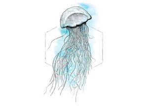 4055065152160 - KOMAR Poster Jellyfish Watercolor Bilder Kinderzimmer Schlafzimmer Wohnzimmer Gr B H 50 cm x 70 cm Tiere 1 St bunt Poster