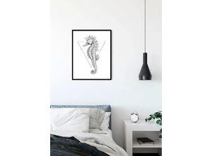 4055065152269 - KOMAR Poster Sea Horse White Bilder Kinderzimmer Schlafzimmer Wohnzimmer Gr B H 40 cm x 50 cm Tiere 1 St silberfarben Poster