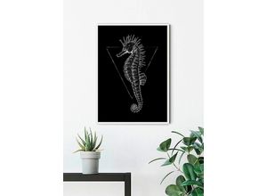 4055065152351 - KOMAR Poster Sea Horse Black Bilder Kinderzimmer Schlafzimmer Wohnzimmer Gr B H 40 cm x 50 cm Tiere 1 St bunt Poster