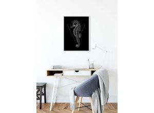 4055065152368 - KOMAR Poster Sea Horse Black Bilder Kinderzimmer Schlafzimmer Wohnzimmer Gr B H 30 cm x 40 cm Tiere 1 St bunt Poster