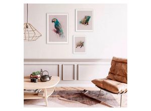 4055065152528 - KOMAR Poster Animals Paradise Turtle Bilder Kinderzimmer Schlafzimmer Wohnzimmer Gr B H 40 cm x 50 cm Tiere 1 St bunt Poster