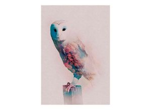 4055065152573 - KOMAR Poster Animals Forest Owl Bilder Kinderzimmer Schlafzimmer Wohnzimmer Gr B H 50 cm x 70 cm Tiere 1 St bunt Poster