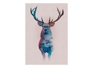 4055065152665 - KOMAR Poster Animals Forest Deer Bilder Kinderzimmer Schlafzimmer Wohnzimmer Gr B H 50 cm x 70 cm Tiere 1 St bunt Poster