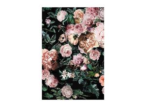 4055065153129 - KOMAR Poster Charming Wild Bilder Kinderzimmer Schlafzimmer Wohnzimmer Gr B H 40 cm x 50 cm Blumen 1 St bunt Poster