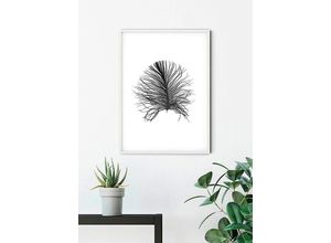 4055065155086 - KOMAR Poster Feather White Bilder Kinderzimmer Schlafzimmer Wohnzimmer Gr B H 30 cm x 40 cm Federn 1 St bunt Poster