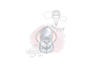 4055065160905 - KOMAR Poster Dumbo Sleepy Bilder Kinderzimmer Schlafzimmer Wohnzimmer Gr B H 30 cm x 40 cm Disney 1 St bunt Poster