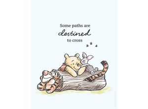 4055065161858 - KOMAR Poster Winnie Pooh Path Bilder Kinderzimmer Schlafzimmer Wohnzimmer Gr B H 40 cm x 50 cm Disney 1 St bunt Poster