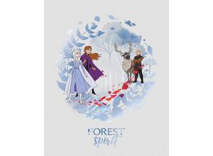 4055065161971 - Poster Frozen Spirit Disney (1 St) Kinderzimmer Schlafzimmer Wohnzimmer bunt