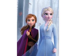 4055065165276 - Poster Frozen Sisters in the Wood Disney (Packung 1 St) Kinderzimmer Schlafzimmer Wohnzimmer bunt