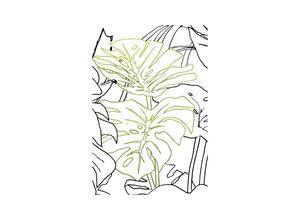 4055065179594 - Bild KOMAR Monstera Borsigiana grün (farbe bild(er) grün weiß) B30cm H40cm Papier Holz Bilder Wandbild zur Dekoration - ohne Rahmen