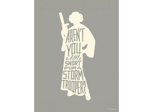 4055065190698 - KOMAR Wandbild Star Wars Silhouette Quotes Leia Bilder Kinderzimmer Schlafzimmer Wohnzimmer Gr B H 30 cm x 40 cm Kunstdruck-Bild-Poster-Wandbild 1 St bunt Kunstdrucke