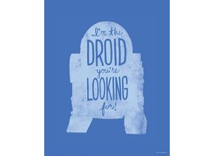 4055065190773 - KOMAR Wandbild Star Wars Silhouette Quotes R2D2 Bilder Kinderzimmer Schlafzimmer Wohnzimmer Gr B H 40 cm x 50 cm Kunstdruck-Bild-Poster-Wandbild 1 St bunt Kunstdrucke