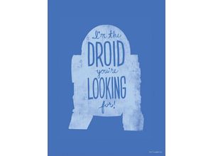 4055065190780 - KOMAR Wandbild Star Wars Silhouette Quotes R2D2 Bilder Kinderzimmer Schlafzimmer Wohnzimmer Gr B H 30 cm x 40 cm Kunstdruck-Bild-Poster-Wandbild 1 St bunt Kunstdrucke