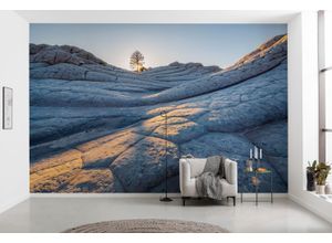 4055065200724 - Fototapete KOMAR Digitaldruck Vlies - Elephant Skin - Größe 400 x 250 cm grau (grau dimensionsstabil formstabil geruchsneutral) Rollen Vlies Tapeten Wohnzimmer Schlafzimmer