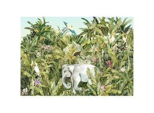 4055065390029 - Fototapete »Jungle Expedition« glatt Comic Retro bedruckt mehrfarbig BxH 400x280 cm bunt