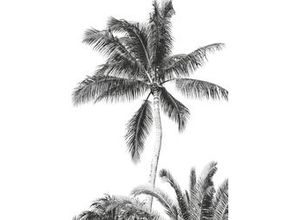 4055065390111 - Fototapete »Retro Palm« glatt Comic Retro bedruckt mehrfarbig BxH 200x280 cm bunt