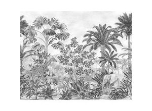 4055065390357 - Fototapete »Jungle Evolution« glatt Comic Retro bedruckt mehrfarbig BxH 350x280 cm bunt|schwarz|weiß