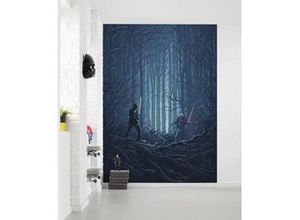 4055065410031 - Fototapete »Star Wars Wood Fight« glatt Comic Retro bedruckt mehrfarbig BxH 200x280 cm blau|schwarz