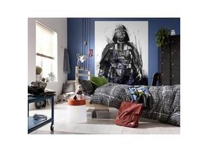 4055065410178 - Fototapete »Star Wars Watercolor Vader« glatt Comic Retro bedruckt mehrfarbig BxH 200x280 cm bunt|schwarz|weiß