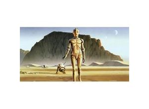 4055065510670 - Fototapete »Star Wars Classic RMQ Droids« glatt Weltall futuristisch mehrfarbig (Packung) braun|gelb