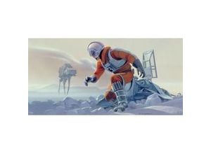 4055065510717 - Fototapete »Star Wars Classic RMQ Hoth Battle Pilot« glatt Weltall futuristisch mehrfarbig (Packung) bunt