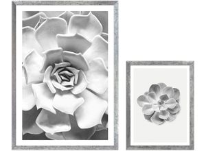 4055065992087 - Bild mit Rahmen KOMAR Succulent Aeonium Bilder Gr B H 1x 30x40 cm und 1x 50x70 cm Succulent Aeonium 1 x 30 x 40 cm und 1 x 50 x 70 cm 2 St bunt Bilder mit Rahmen maschinell