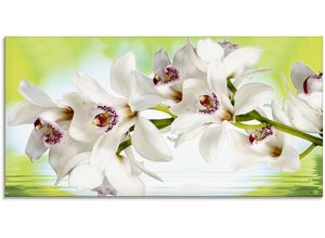 4055327017824 - Glasbild ARTLAND Weiße Orchidee Bilder Gr B H 100 cm x 50 cm Glasbild Blumen 1 St weiß Glasbilder in verschiedenen Größen