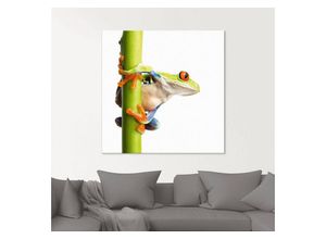 4055327038300 - Glasbild ARTLAND Frosch umfasst einen Pflanzenstengel Bilder Gr B H 20 cm x 20 cm Wassertiere 1 St weiß Glasbilder Bilder