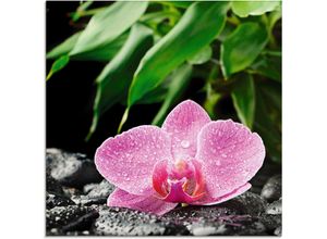 4055327042666 - Glasbild ARTLAND Rosa Orchidee auf schwarzen Zen Steinen Bilder Gr B H 20 cm x 20 cm Blumen 1 St pink Glasbilder Bilder in verschiedenen Größen