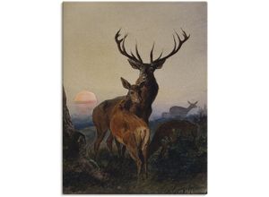 4055327120579 - Wandbild ARTLAND Hirsch und ein Reh bei Sonnenuntergang Bilder Gr B H 60 cm x 80 cm Leinwandbild Wildtiere 1 St braun Bild Poster Bilder als Leinwandbild Wandaufkleber oder in versch Größen