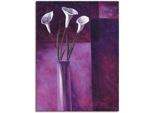 4055327148368 - Wandbild ARTLAND Callas Lila Bilder Gr B H 60 cm x 80 cm Leinwandbild Blumen 1 St lila Bild Metallbild Metallbilder Bilder als Alubild Leinwandbild Wandaufkleber oder Poster in versch Größen