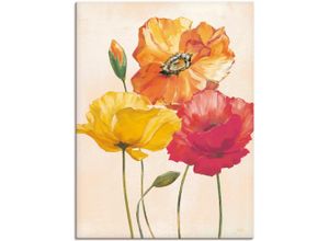 4055327154901 - Wandbild ARTLAND Bunte Mohnblumen I Bilder Gr B H 90 cm x 120 cm Leinwandbild Blumenbilder Hochformat 1 St bunt Kunstdrucke als Alubild Leinwandbild Wandaufkleber oder Poster in versch Größen