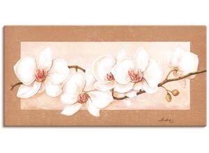 4055327159753 - Wandbild ARTLAND Orchideenzweig Bilder Gr B H 100 cm x 50 cm Leinwandbild Blumenbilder Querformat 1 St beige (naturfarben) Kunstdrucke als Alubild Leinwandbild Wandaufkleber oder Poster in versch Größen