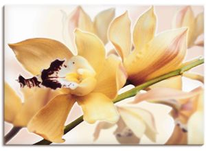 4055327162791 - Wandbild ARTLAND Gelbe Orchidee Bilder Gr B H 100 cm x 70 cm Leinwandbild Blumenbilder Querformat 1 St gelb Kunstdrucke als Alubild Leinwandbild Wandaufkleber oder Poster in versch Größen